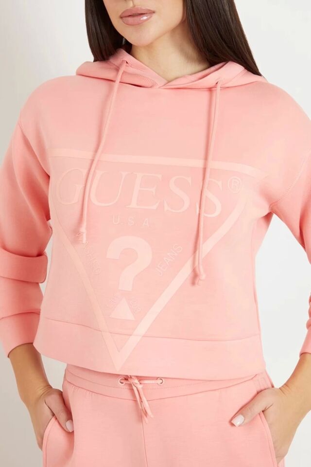 NEW ALISA HOODED SWE Pembe - XS