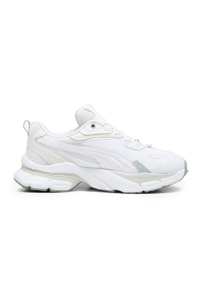 Phlox Clean Wns