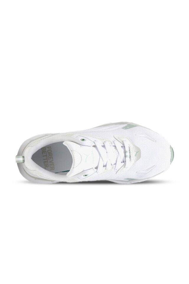 Phlox Clean Wns