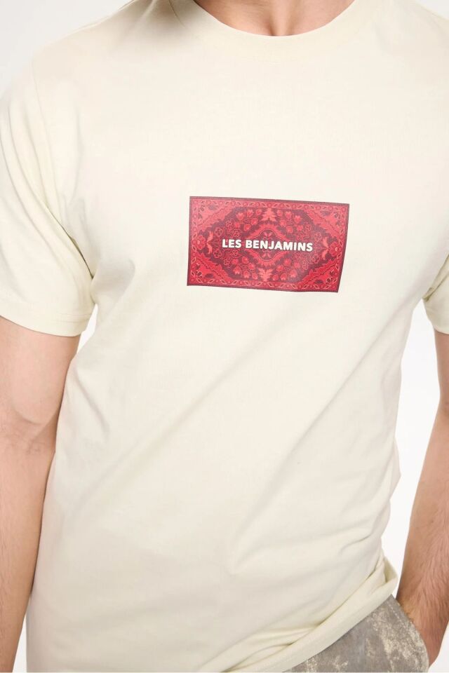 REGULAR TEE GÖRSELDEKİ RENK - M