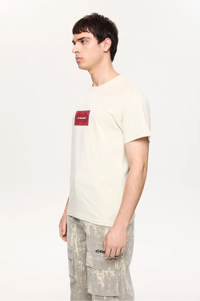 REGULAR TEE GÖRSELDEKİ RENK - M